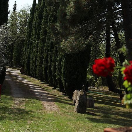 Villa L'Antica Pala Bucine Esterno foto