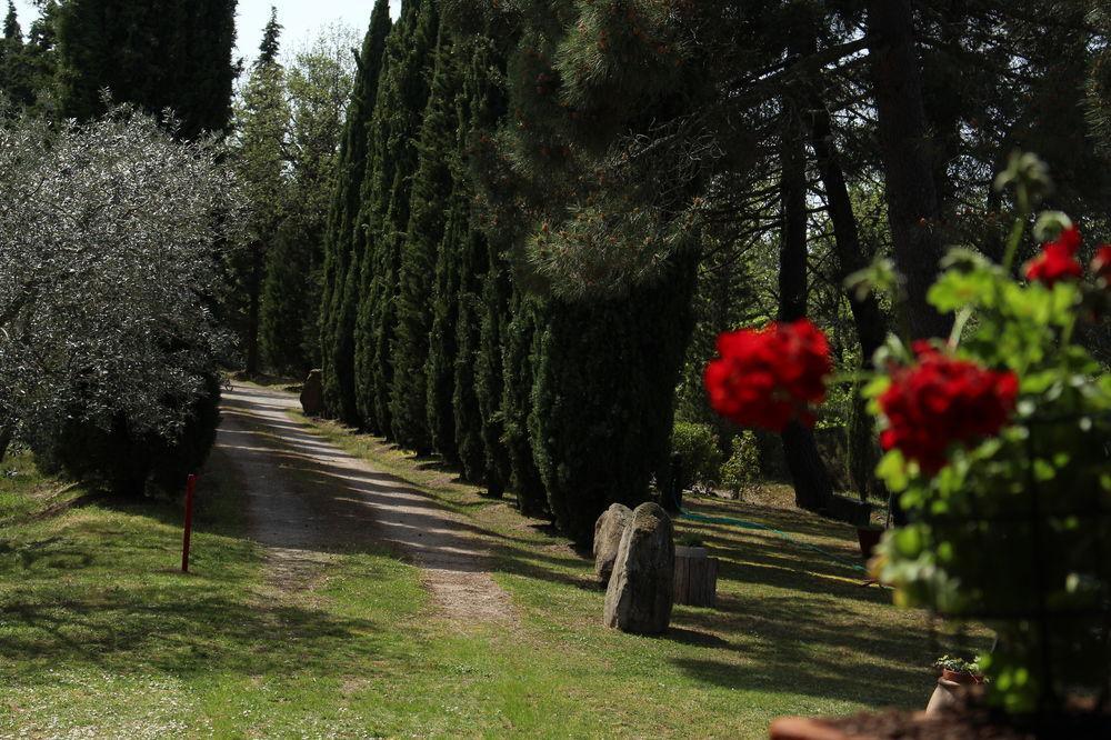 Villa L'Antica Pala Bucine Esterno foto